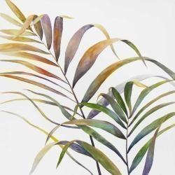 Feuilles de palmiers tropicaux à l'aquarelle