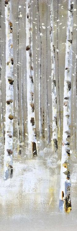 Birch forest by winter