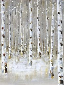 Birch forest by winter
