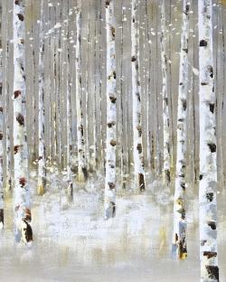 Birch forest by winter
