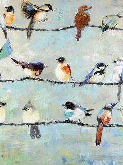 Petits oiseaux colorés