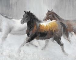 Troupeau de chevaux sauvages