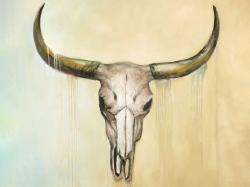 Cow skull