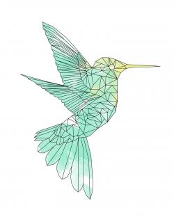 Colibri géométrique