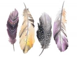 Ensemble de plumes bohème