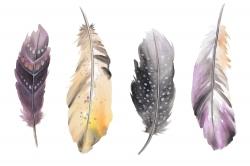 Ensemble de plumes bohème