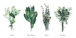 Fine herbs
