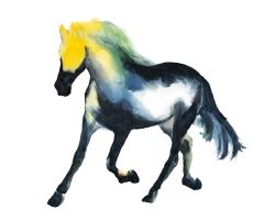 Galloping horse
