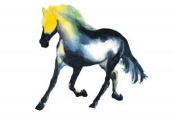 Galloping horse
