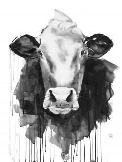 Vache