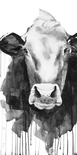 Vache