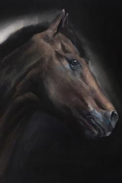 Cheval solitude