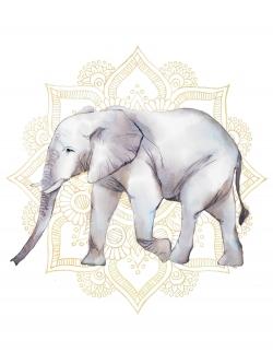 éléphant sur mandalas