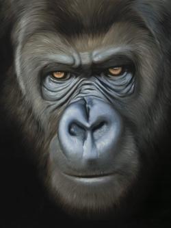 Visage de gorille