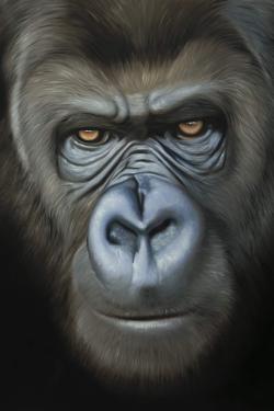 Visage de gorille