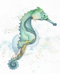 Hippocampe