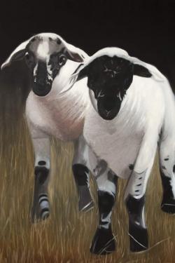 Two lambs