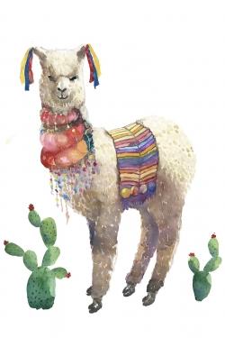 Lama parade