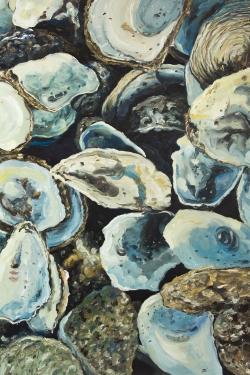 Coquilles d'huîtres