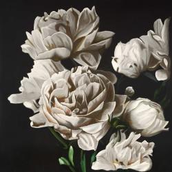 Pivoines beige