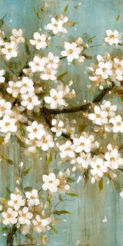 White cherry blossom
