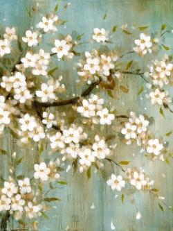 White cherry blossom
