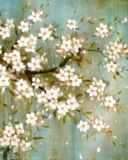 White cherry blossom
