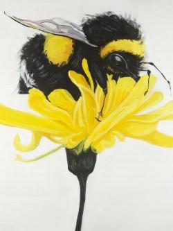 Bumblebee on a dandelion