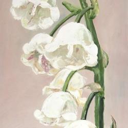 Lily of the valley flowers