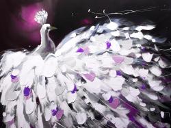 Paon violet