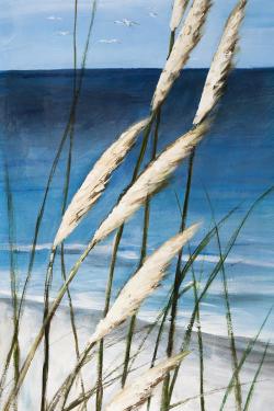 Plante oyat dans le vent sur la plage