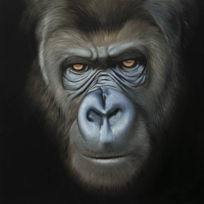 Gorilla face