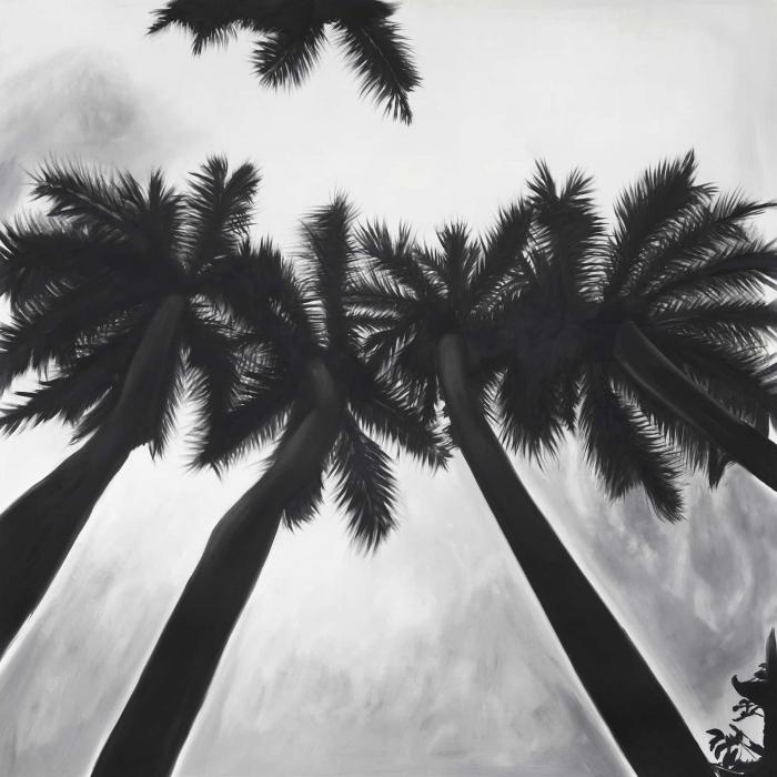 Monochrome palm trees