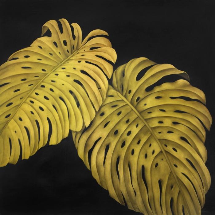 Gold monstera
