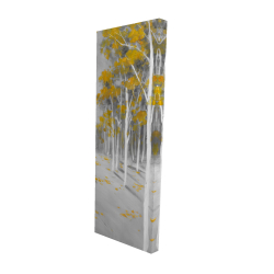 Yellow birch forest