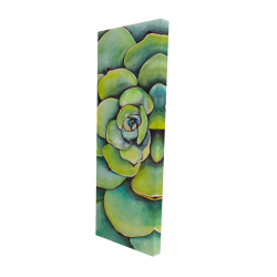 Succulent à l'aquarelle