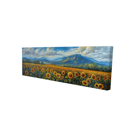 Sunflower field