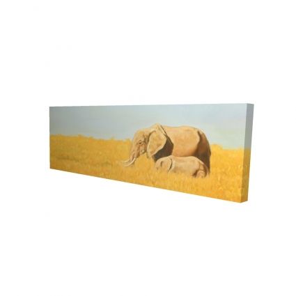 éléphant et son tout petit