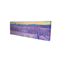Landscape of a field of lavender