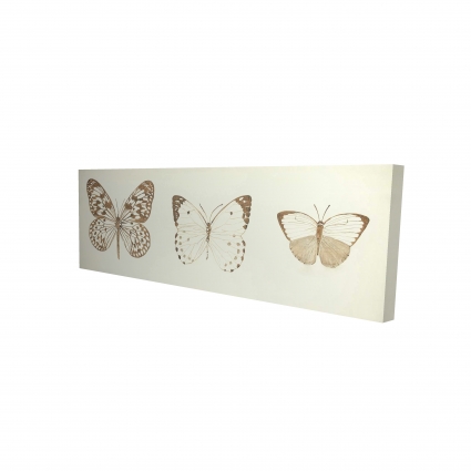 Papillons sépia