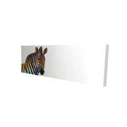 Colorful profile view of a zebra