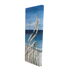 Plante oyat dans le vent sur la plage