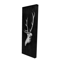 Deer skull in the dark