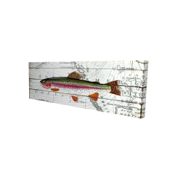 Trout on a world map
