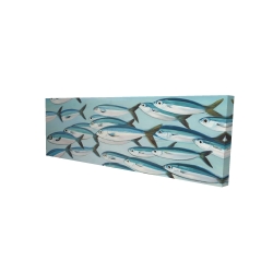 Small fish of caesio caerulaurea