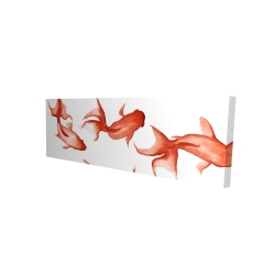 Petits poissons rouge