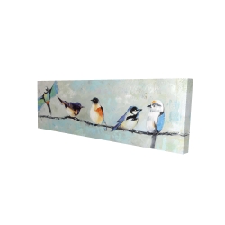 Petits oiseaux colorés