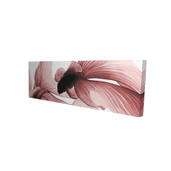 Deux betta rouge
