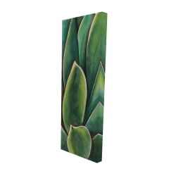 Plante d'agave à l'aquarelle