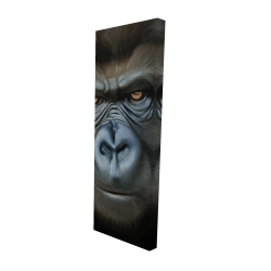Visage de gorille
